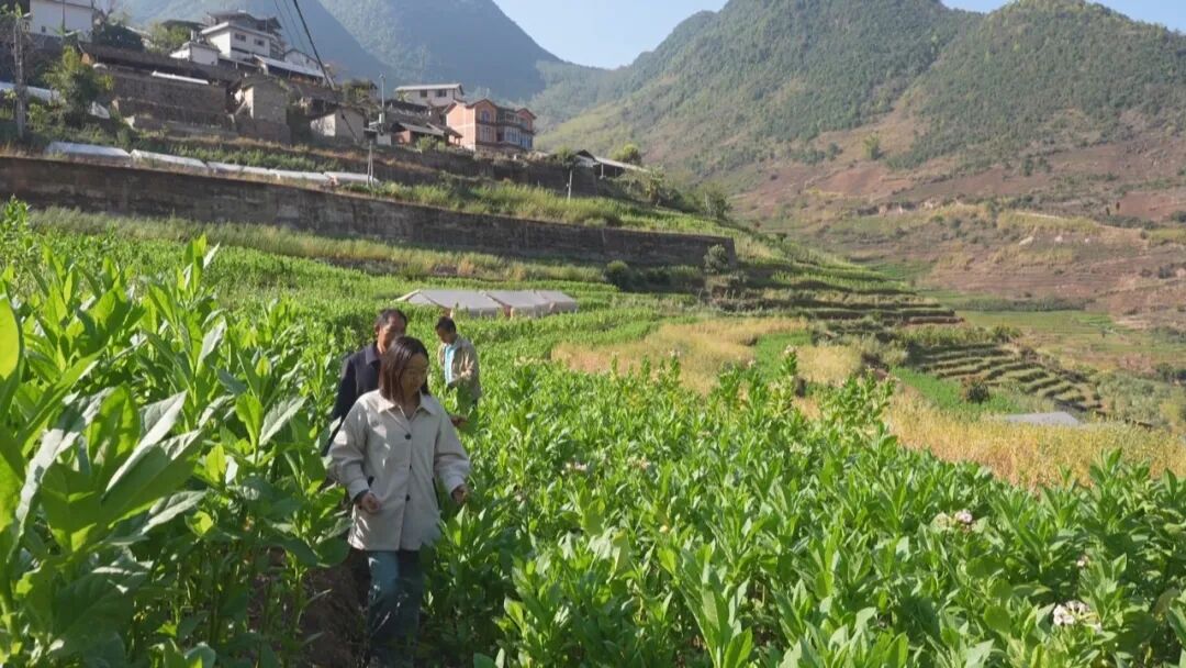 乡村振兴与美好人居_乡村振兴美丽宜居_