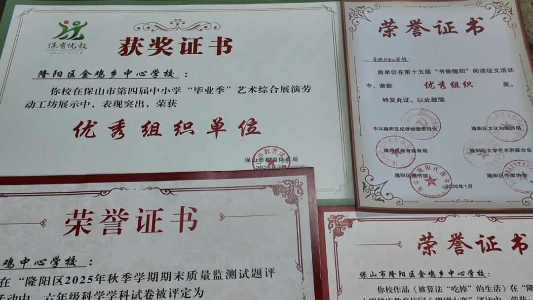 构建党建育人模式__党建引领促教育发展