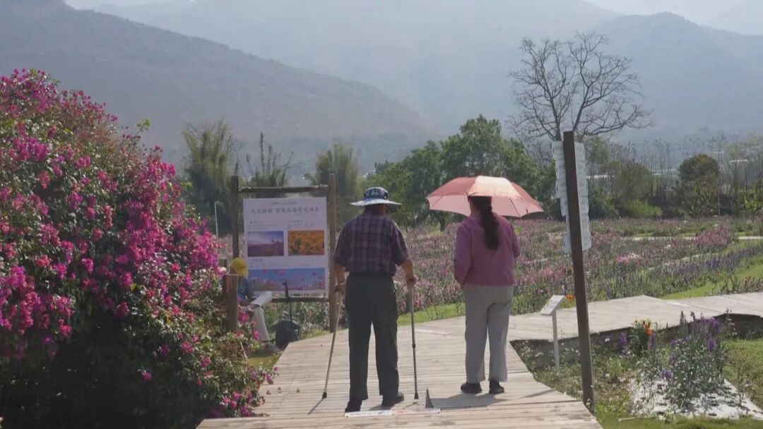 _云南康养基地分布图_云南康养医疗科技有限公司