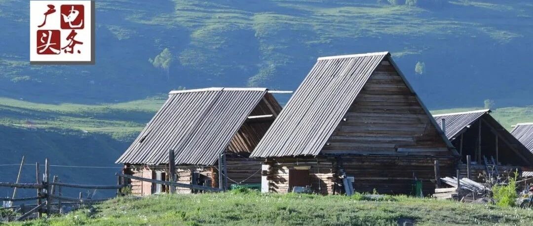 《2021年第三季度网络综艺调研报告》