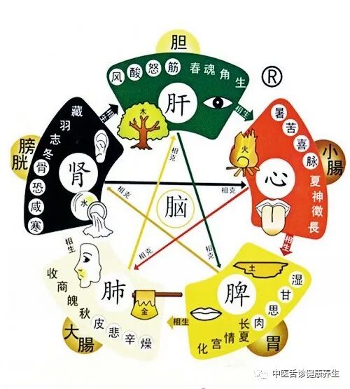 肝脏用什么仪器检查是无知还是？宁可相信仪器，也不相信中医中药_https://www.jmylbn.com_新闻资讯_第3张