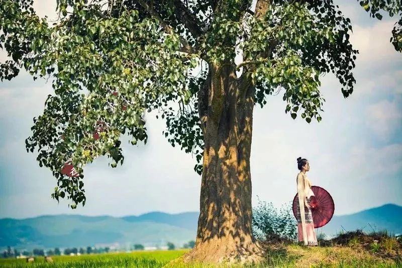 人生，边走边悟，且行且惜