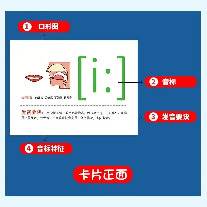 bipap英语怎么读英语48个国际音标发音方法和发音规则_https://www.jmylbn.com_新闻资讯_第4张