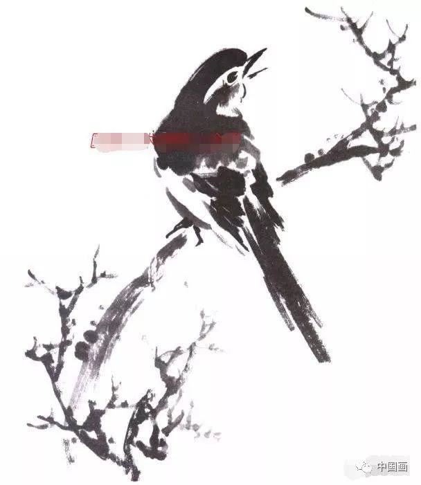 水墨写意花鸟画基本画法图文教程 写意鸟类的画法和步骤详解 中国画 微信公众号文章阅读 Wemp