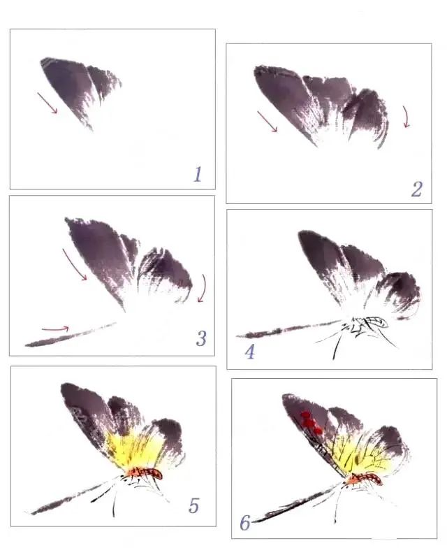 图文教程：一学就会画写意蝴蝶