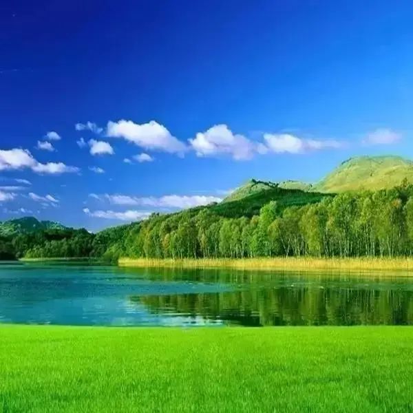 广西中职学校招生信息：比较好的高职学校有哪些-技工学校哪个好