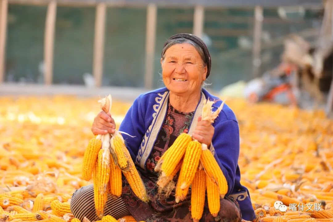 金灿灿的笑容&nbsp; &nbsp;麦吾兰