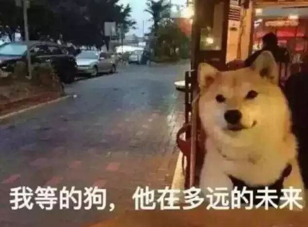 人生避雷指南，单身率最高的工作大盘点