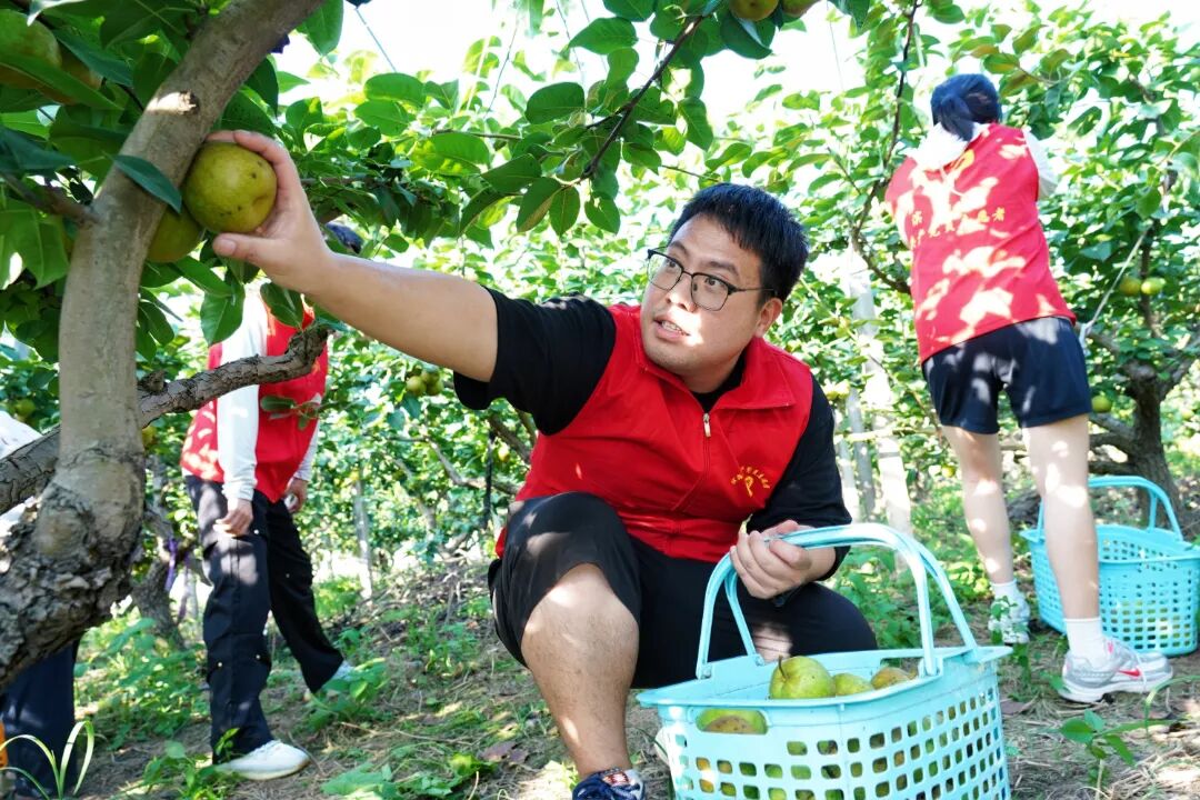 微信图片_20260708175124_89_1220.jpg