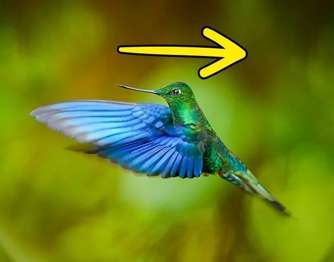 16个你不知道的常识,涨涨姿势!