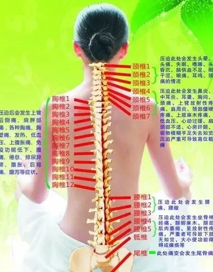 外展枕怎么使用总结的很全的针刀治疗要点，学针刀的人不容错过_https://www.jmylbn.com_新闻资讯_第14张