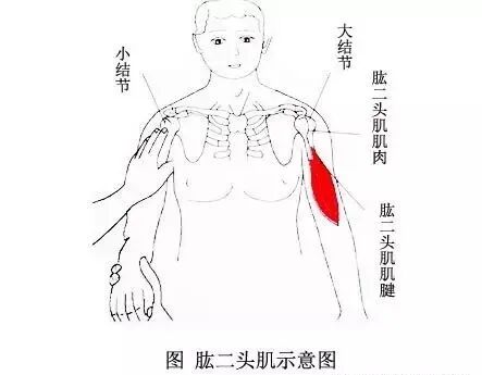 外展枕怎么使用总结的很全的针刀治疗要点，学针刀的人不容错过_https://www.jmylbn.com_新闻资讯_第20张