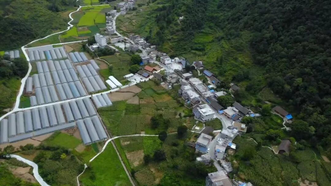 沿河黄土镇三力绘就乡村振兴新画卷