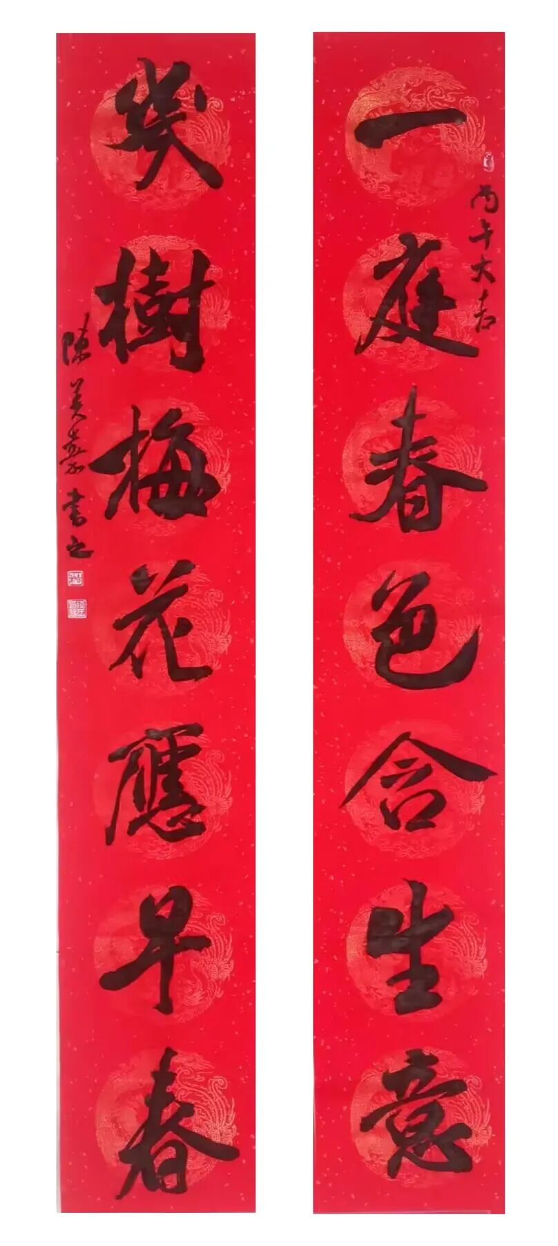 陈美嘉.jpg