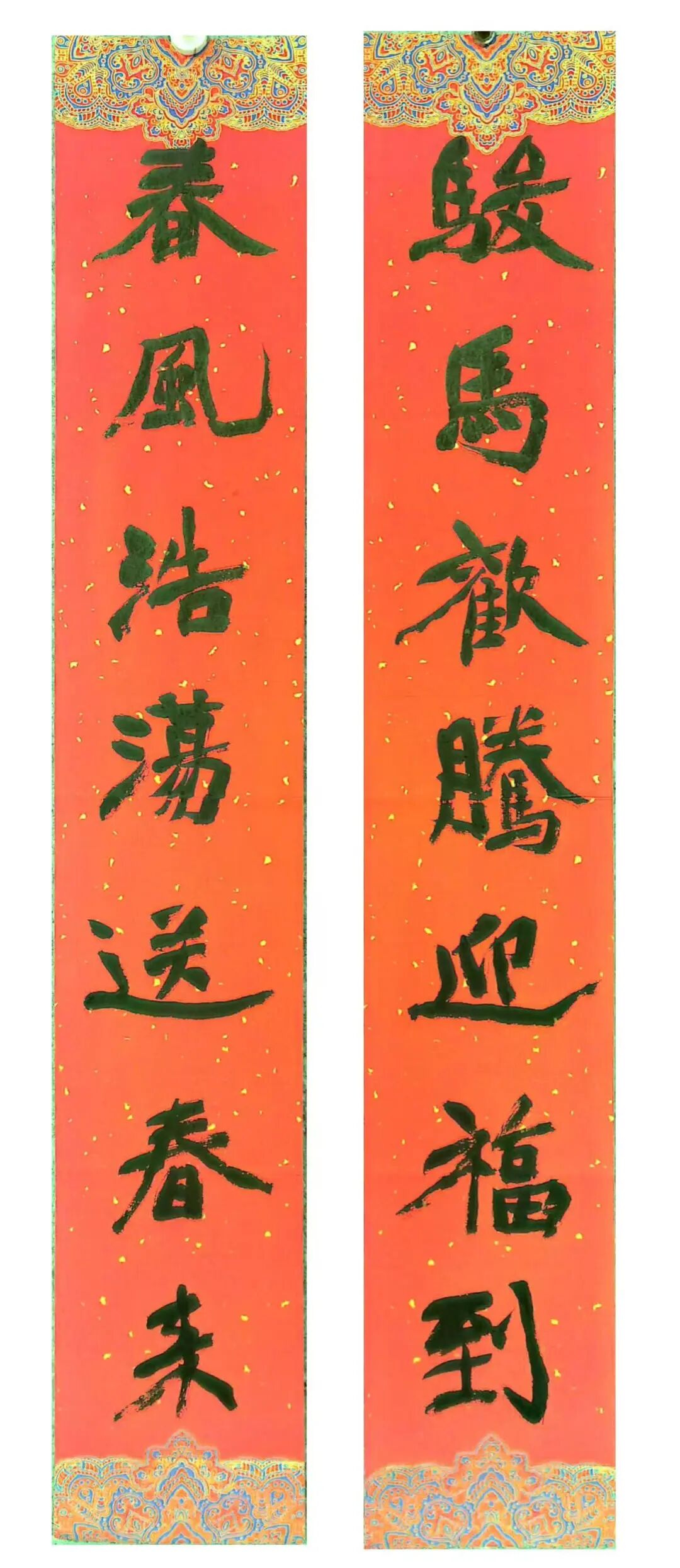 张鹏鹏.jpg