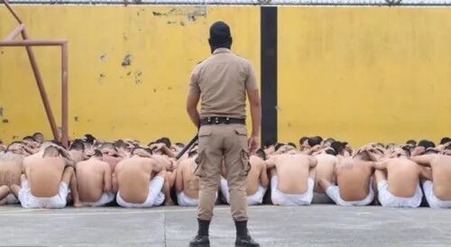 总统亲自炒比特币亏惨，穷国想翻身有多难？