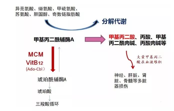 科普丨新生儿筛查之一:尽早发现遗传代谢性疾病_健康_搜酷母婴育儿