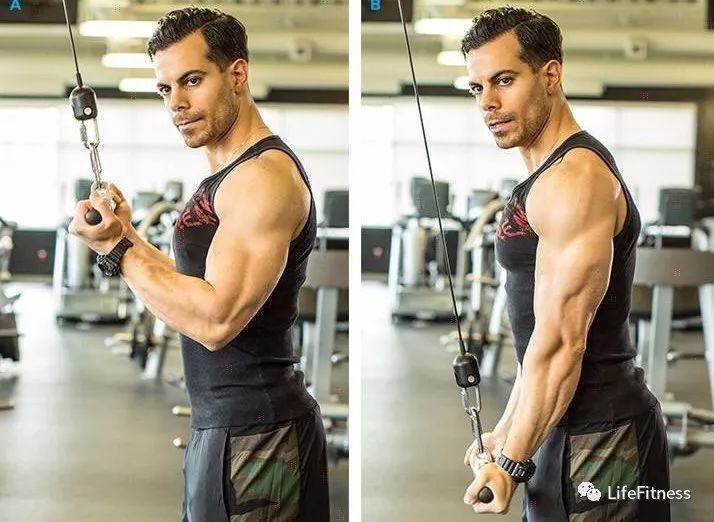 【动作库】绳索下拉