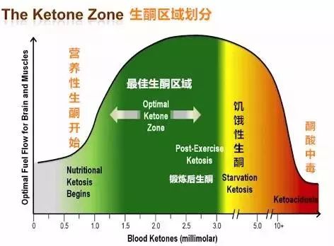 一開始生酮，就容易吃多？就是不瘦... 健康 第7張