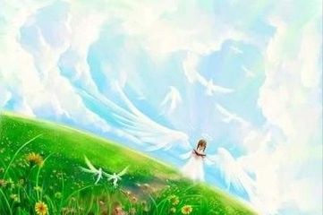 全脑速读——孩子赢得学业的金钥匙