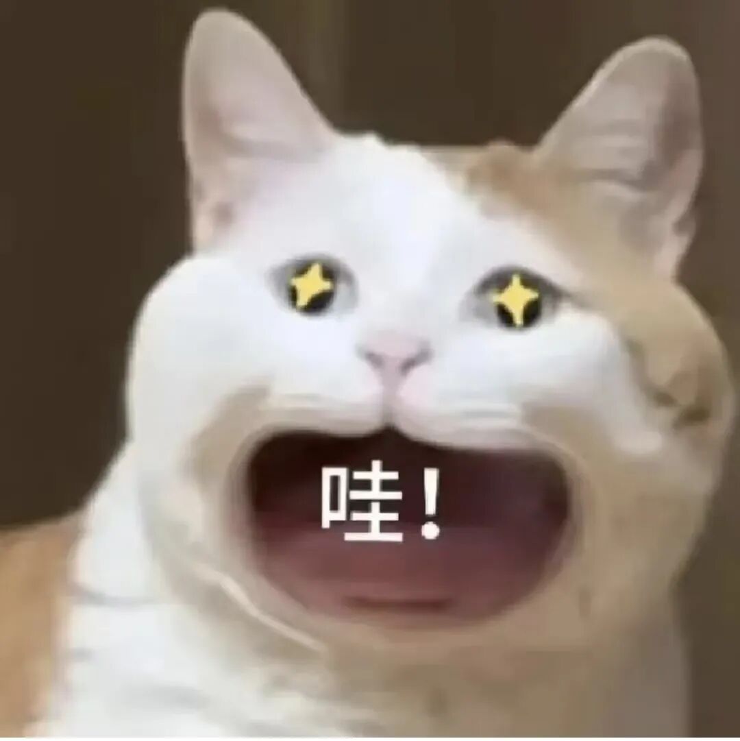 微信图片_20260404162411_4076_195.jpg