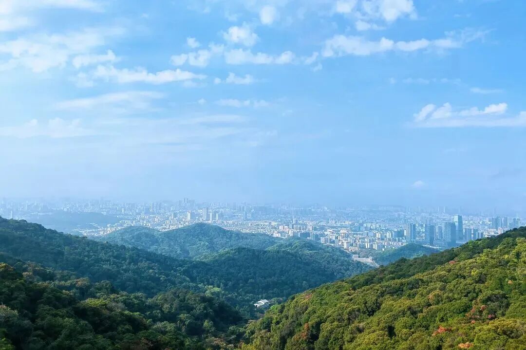 摩星岭观光扶梯栈道远眺景观