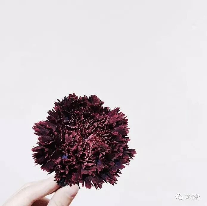 时光荏苒怎么读_怎么读时光荏苒_时光荏冉怎么读