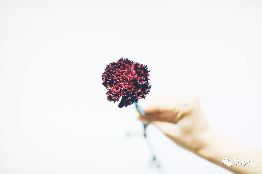 怎么读时光荏苒_时光荏冉怎么读_时光荏苒怎么读