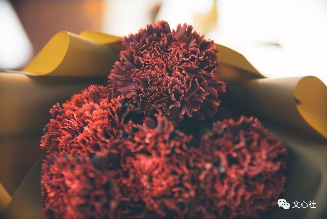 时光荏冉怎么读_怎么读时光荏苒_时光荏苒怎么读