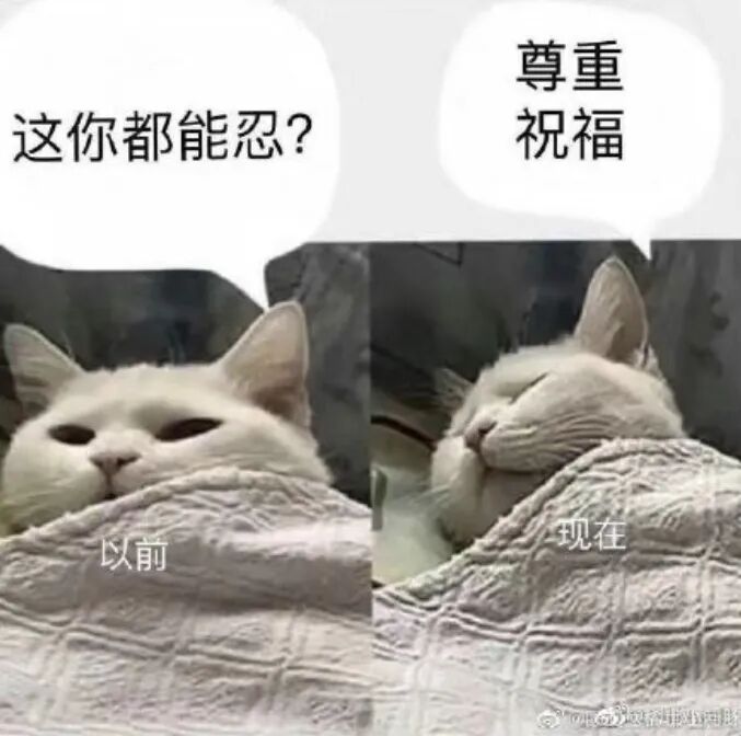 疯了！净身出户不到三年，这俩人又复合了（组图） - 57