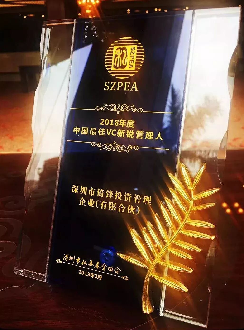 未来已来，2019年我们做了什么？