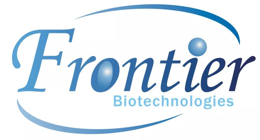 未来已来，2019年我们做了什么？