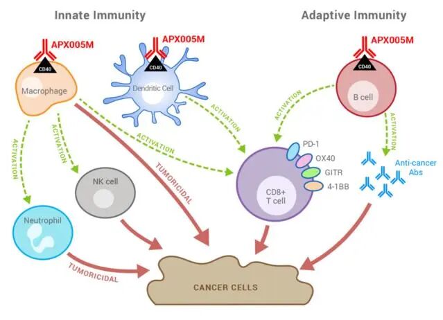 Apexigen成功在纳斯达克挂牌上市！