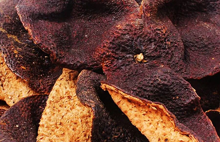 什么皮给药治跟师一日一得之理法方药（69）方剂阐微｜五皮饮的应用（治荨麻疹、湿疹）_https://www.jmylbn.com_新闻资讯_第1张