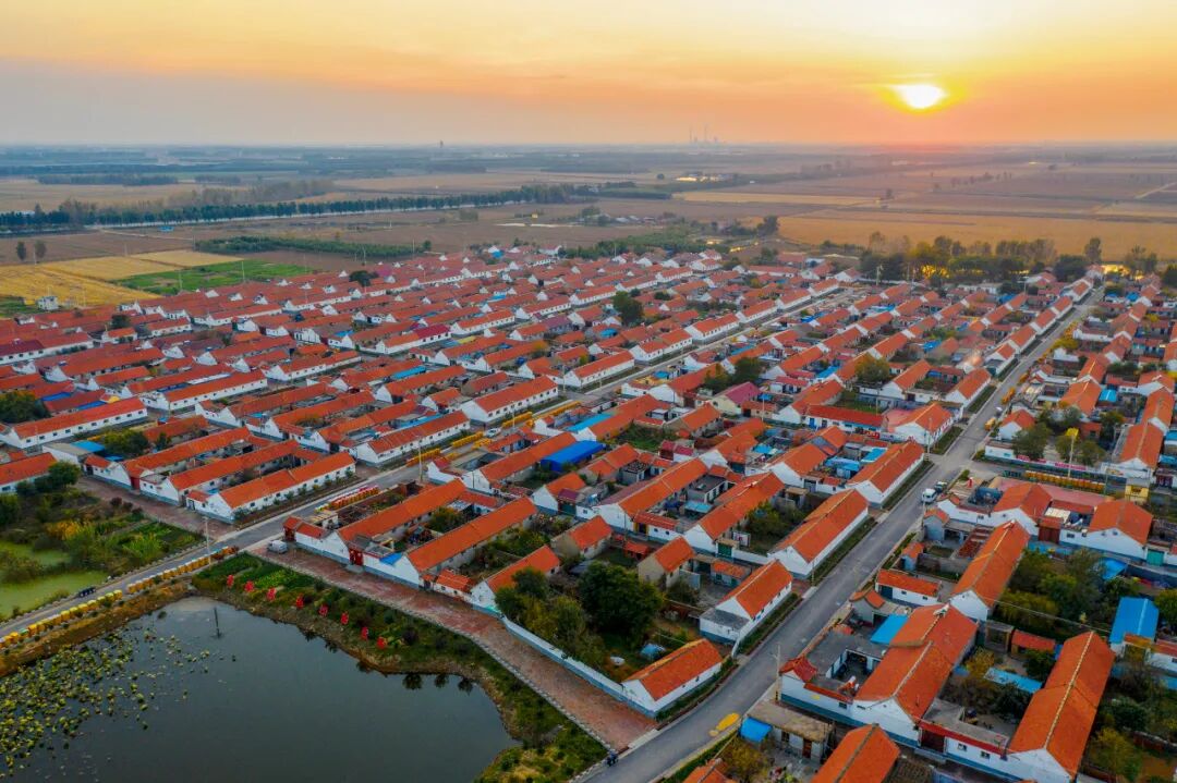 寿光营里镇描绘乡村振兴美丽画卷