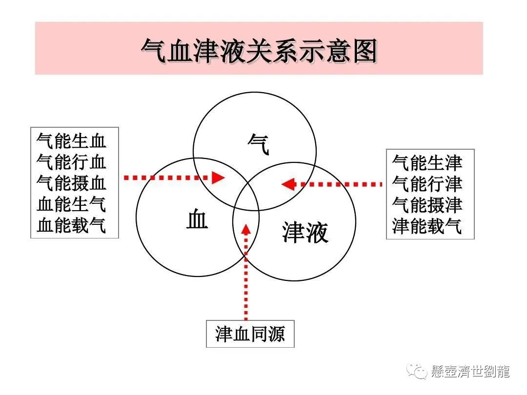 气血津液与眼