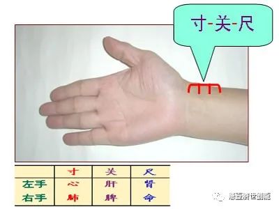 中医把脉秘诀解析