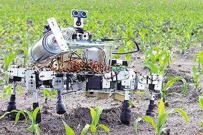 国以粮为本 农业机器人前景光明0