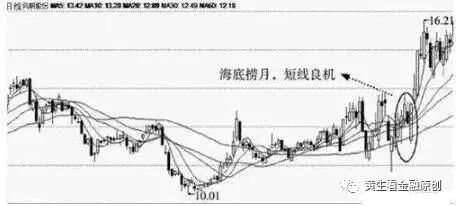 海底捞月与海底月的区别
