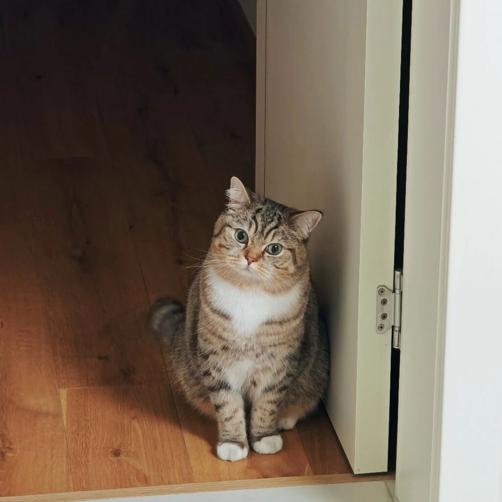 小老虎童品日记