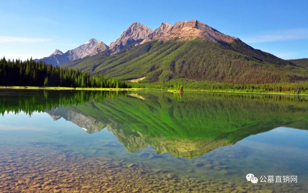 炎黄陵园是很不好吗_炎黄陵园墓地价格20年_炎黄陵园