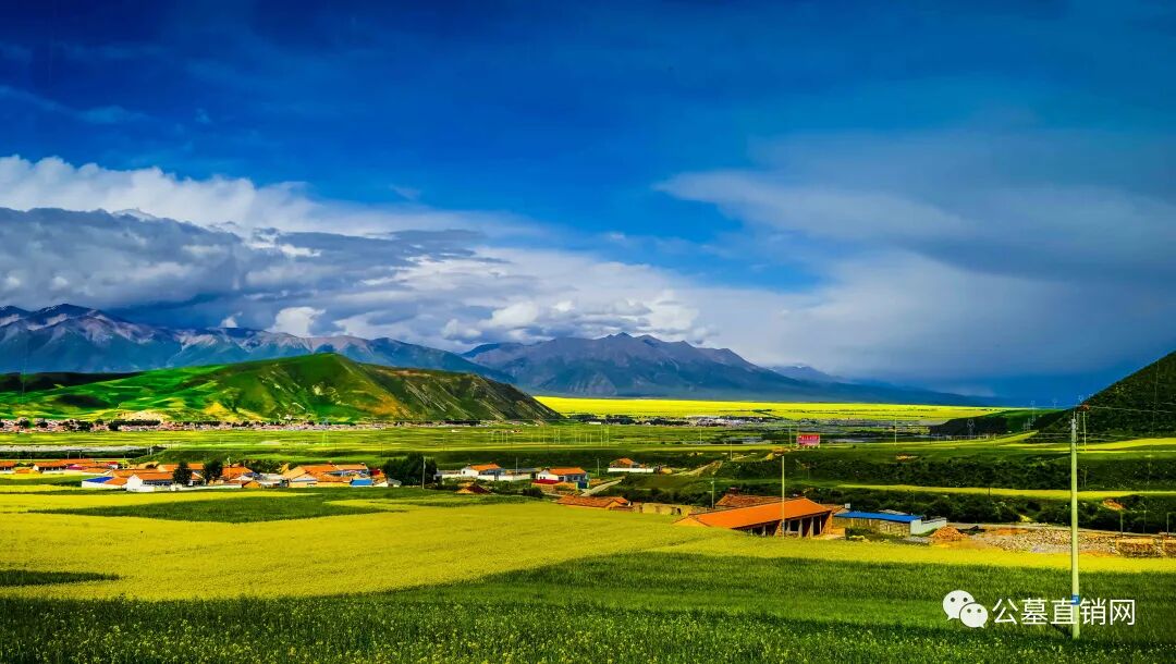 炎黄陵园是很不好吗_炎黄陵园墓地价格20年_炎黄陵园