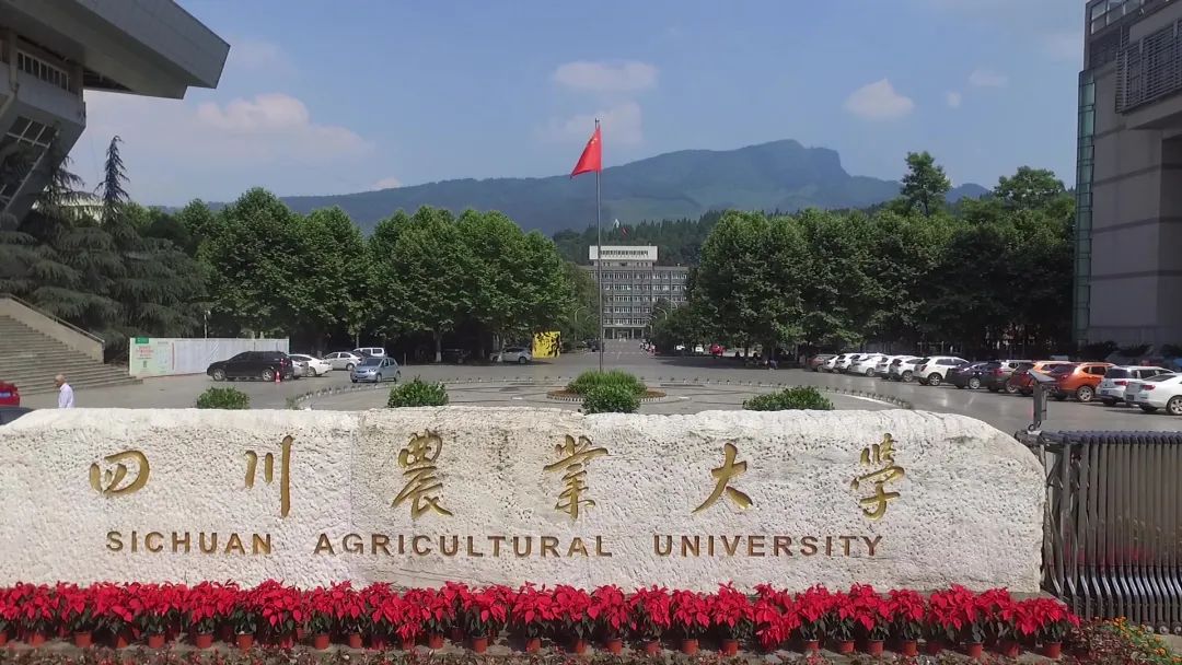 專業(yè)分比最低錄取分?jǐn)?shù)線低_2023年仰恩大學(xué)錄取分?jǐn)?shù)線(2023-2024各專業(yè)最低錄取分?jǐn)?shù)線)_錄取分?jǐn)?shù)線低的專業(yè)