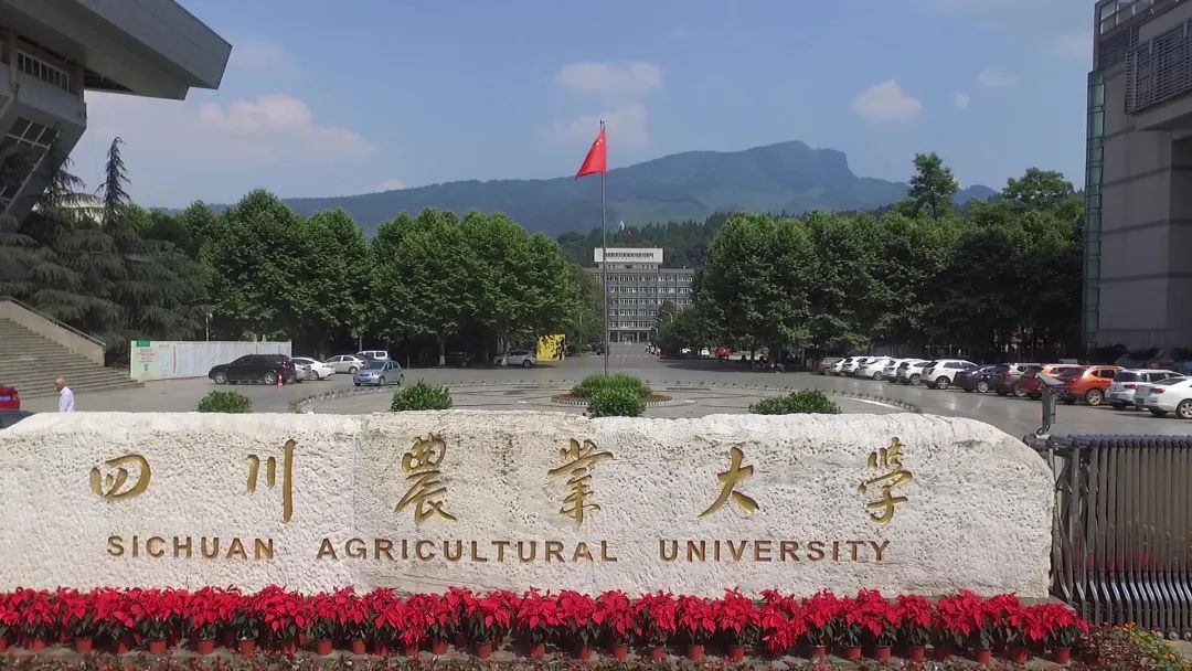 专业分比最低录取分数线低_2023年仰恩大学录取分数线(2023-2024各专业最低录取分数线)_录取分数线低的专业