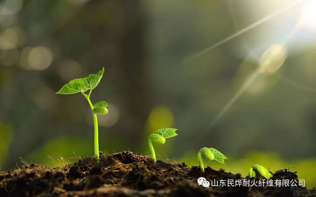 春光作序，万物和鸣(图1)