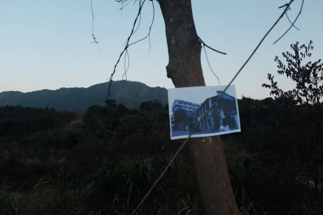 ͼƬ