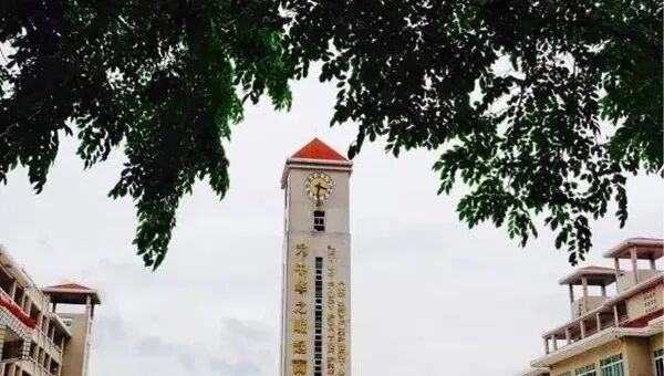 龙虎门国语高清mp4下载_江湖龙虎门国语高清_虎门外国语学校