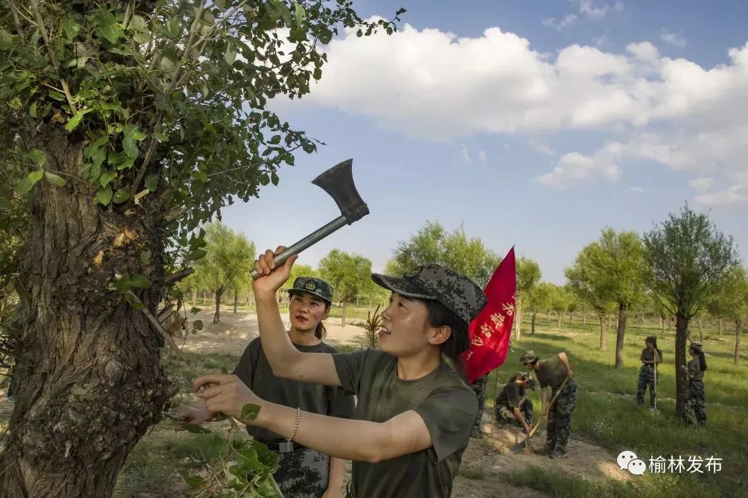 前無古人！中國快把毛烏素沙漠消滅了！ 旅行 第20張