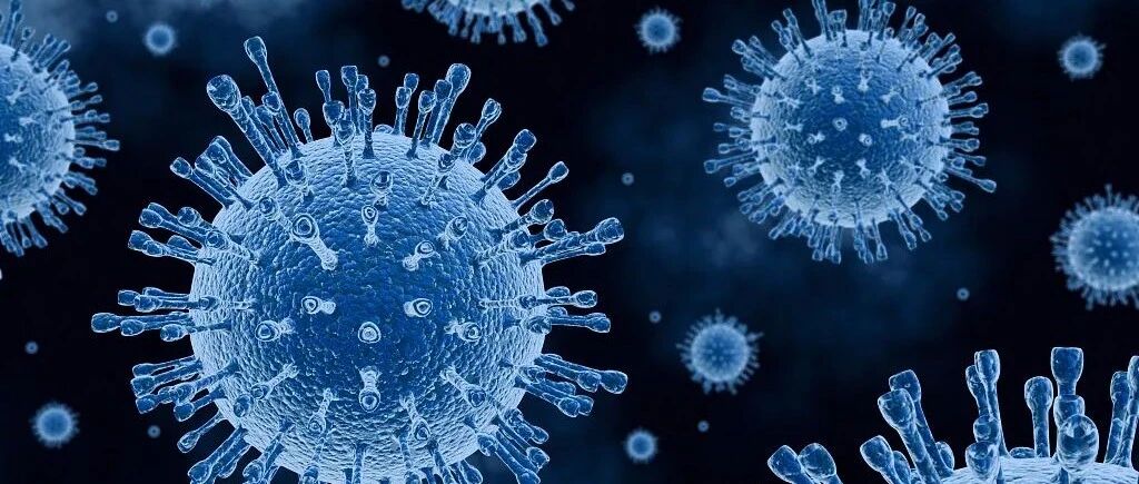 我国科研团队发现新冠肺炎潜在治疗靶点