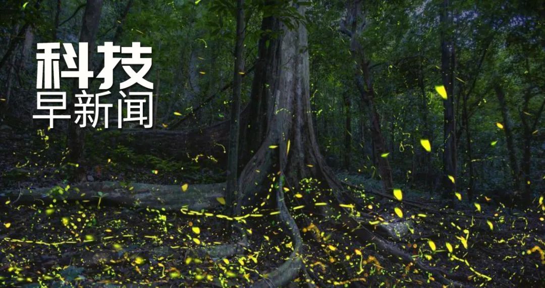 13部门发文支持女性科技人才发展；世界最大海上换流站安装成功丨科技早新闻